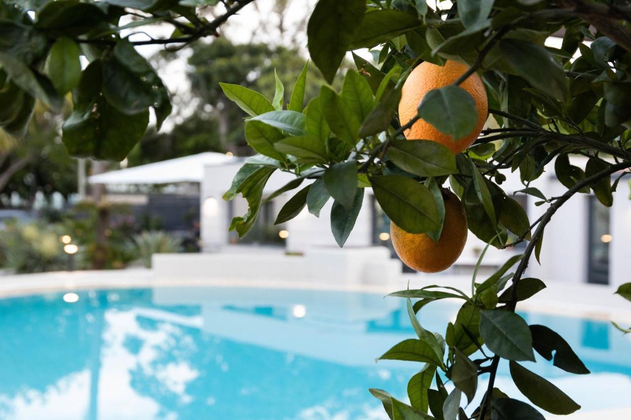 Villa Masetta - Luxury Suites Palermo Ngoại thất bức ảnh